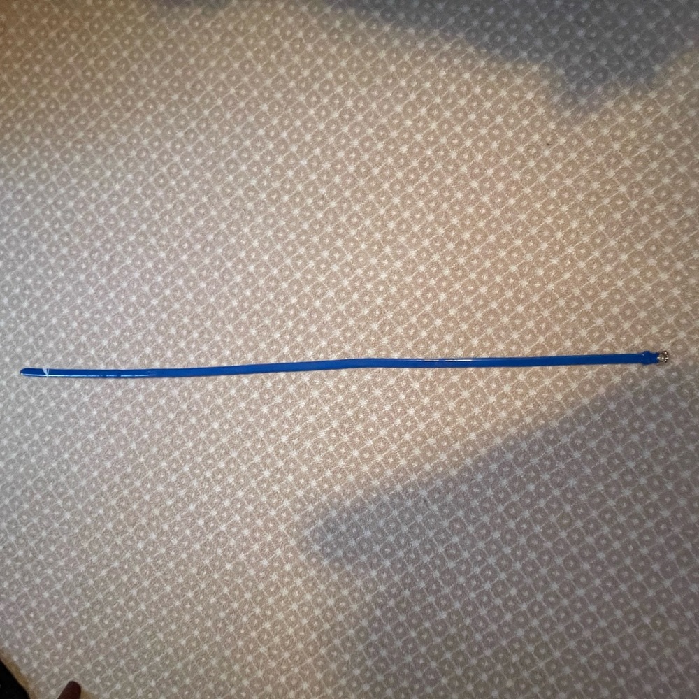 JCrew blue leather belt